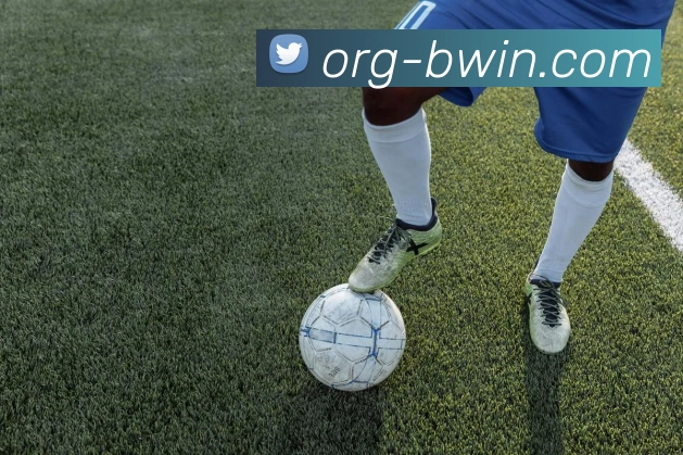 必赢亚洲平台服务体系